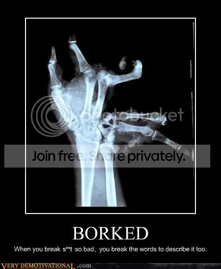 demotivational-posters-borked.jpg
