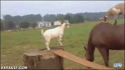 tumblr_n47abpNLfP1r3gb3zo1_400.gif
