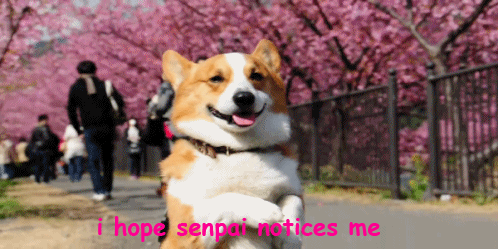 tumblr_mlrwd1yRdj1qjkyrqo1_500.gif