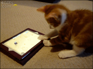 tumblr_mr6kf4j54K1qdlh1io1_400.gif