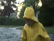 Rycro_02.gif