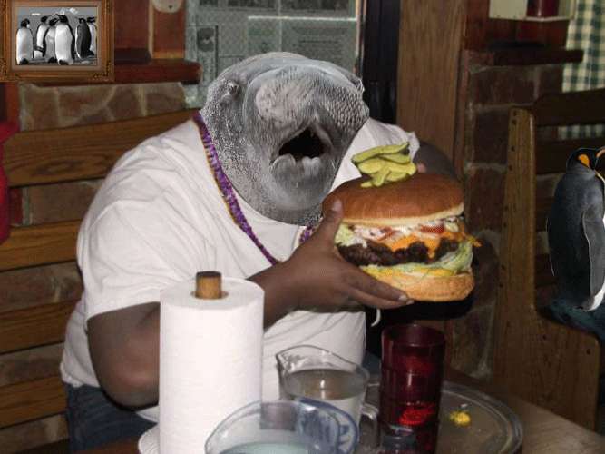 80d816a5855f55136ca16187b180b270.gif