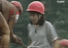 fc911131806f350171e8a6bdb3e12aa1.gif