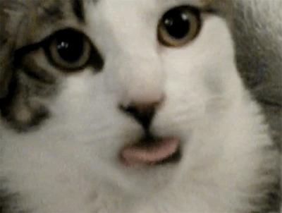 tumblr_lmpsq13J7H1qb3j2u.gif