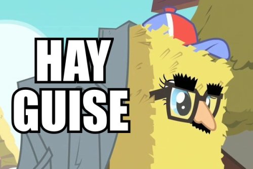 tumblr_lkyypgt8Uu1qiq96ko1_500.jpg