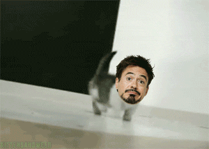 tumblr_lxa351DLQh1qlq2w9.gif