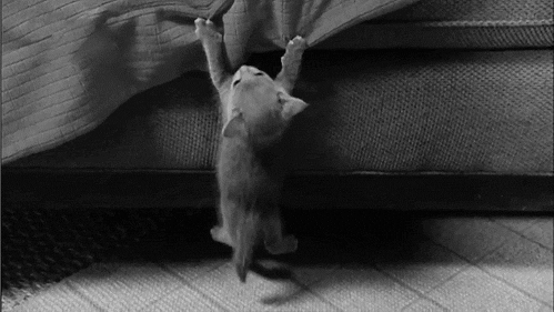 tumblr_midgkhGZwA1qi3yn4o1_500.gif