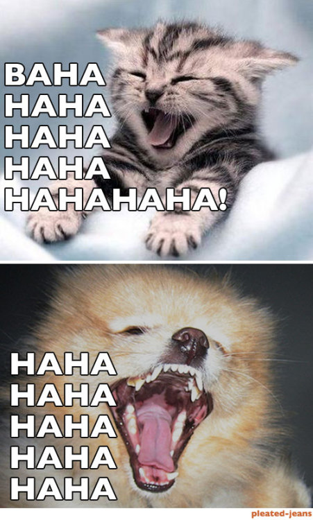 tumblr_m9s4l2hPPY1qzcv7no5_500.jpg
