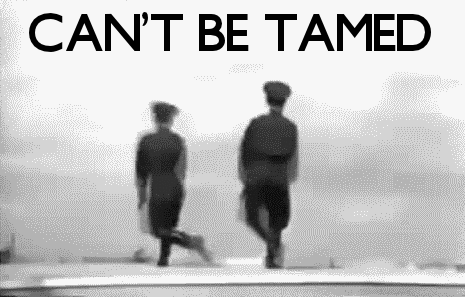 tumblr_mieqlrv9qU1rfkogxo1_500.gif