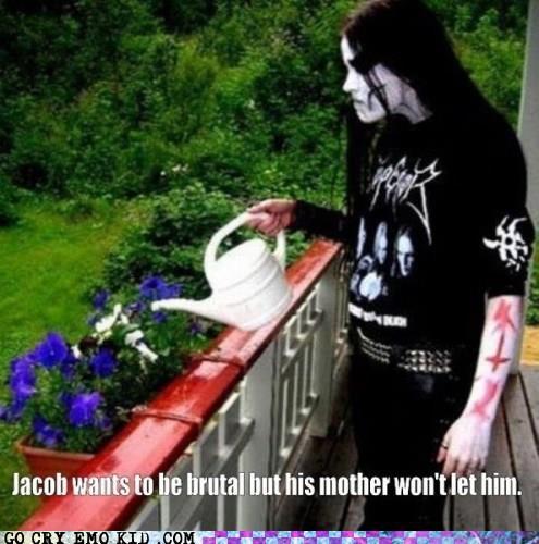 tumblr_lys2u796IX1r9fsvpo1_500.jpg