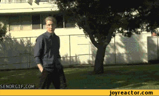 gif-cats-213375.gif