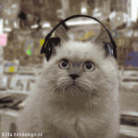 b76dc0763ff9d1470dc5a7f2250a6858.gif