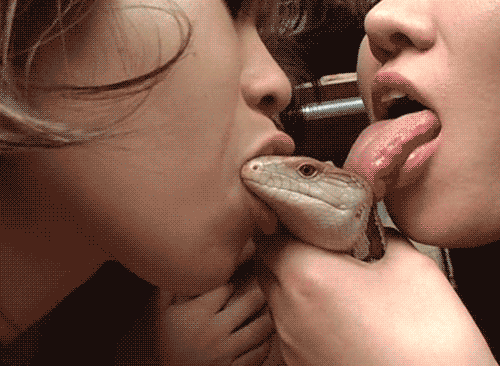 tumblr_mbeqnfXYj91rfhyn5o1_500.gif