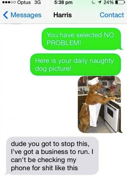 text-reply7.jpg