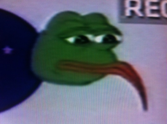 tumblr_nof89epeBO1rqkpiuo4_540.jpg