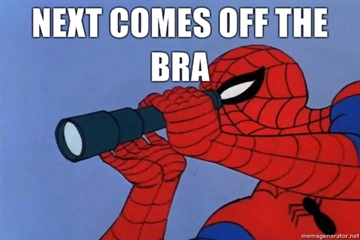 spiderman_meme_by_gothicgir66-d3cs1rq.jpg