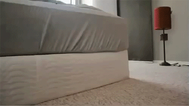 tumblr_n43jsgIYuP1r3gb3zo2_400.gif