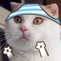 tumblr_n4hqh8YdQS1spaqpio10_250.gif
