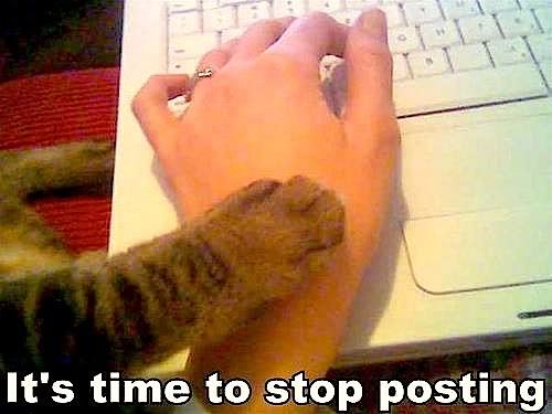 tumblr_mdcrfeteBe1rnlcrx.jpg