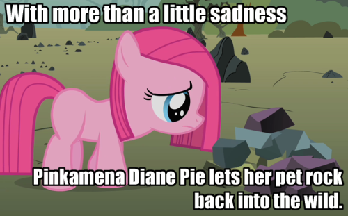 tumblr_ljz4g6pp2I1qh6nh1o1_500.png