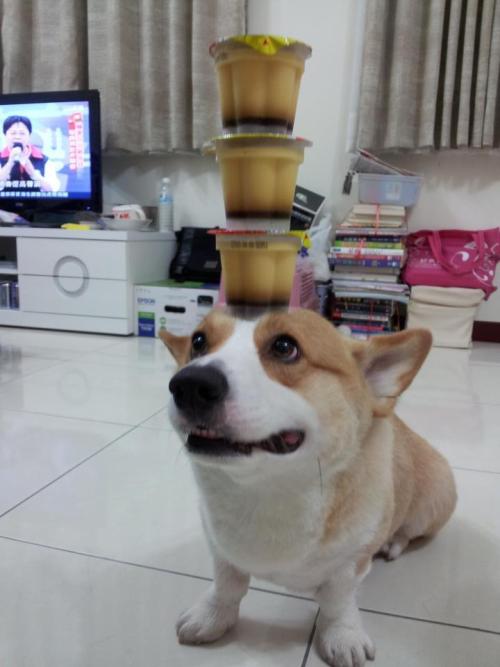 tumblr_mmncwt1wWa1qboprjo1_500.jpg