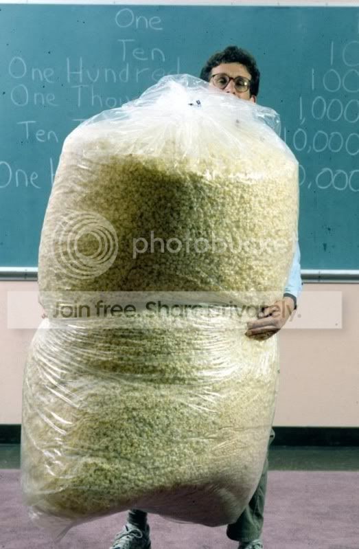 PopcornHugeBags.jpg