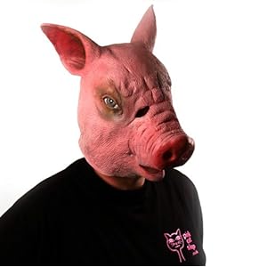 41fccUOdulL._SL500_AA300_.jpg
