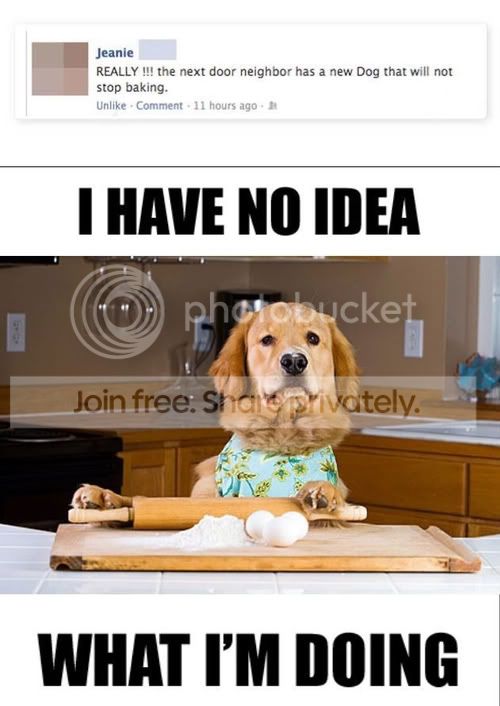 tumblr_m71dnmLDtz1ql2603o1_500.jpg