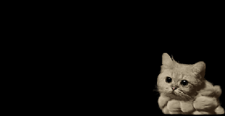 tumblr_n7lc2oBRPw1svecmko1_500.gif