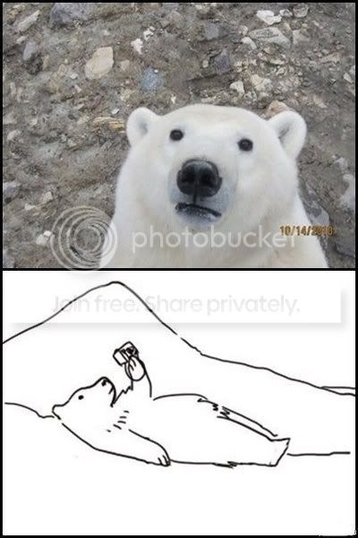 PolarBear_047060_3581682.jpg