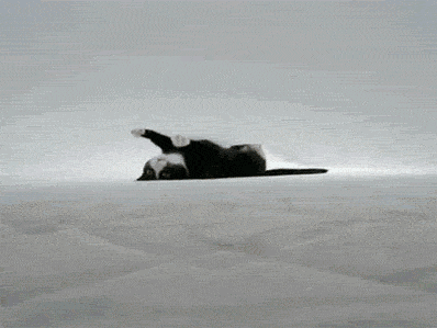 tumblr_lu9xnpjtXd1qhrnli.gif