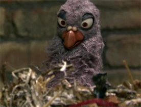 popcornbird_zpsab1efc07.gif