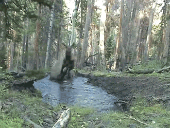 tumblr_mklsjoNFMd1rnqolfo1_400.gif