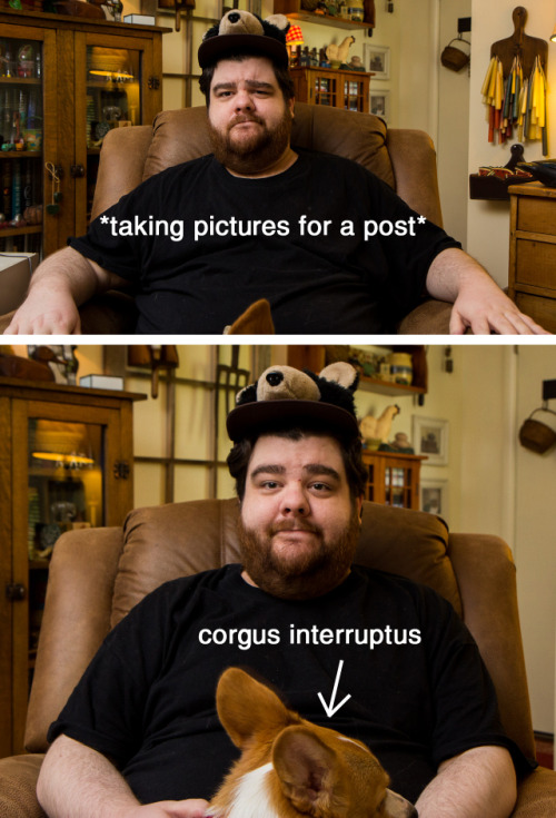 tumblr_malreujuBu1qzrlhgo1_r2_500.jpg