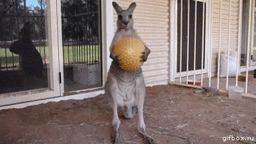 tumblr_m9dicwXZu41rbz11jo1_400_zps49cd5621.gif