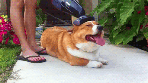 tumblr_m38yl8zY7x1qb978l.gif