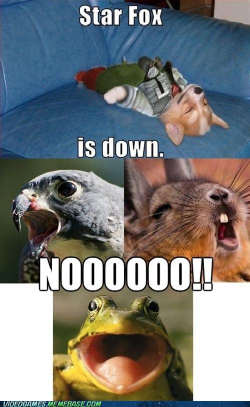 NfQtCCxW8kawu1yn3lXkJw2.jpg