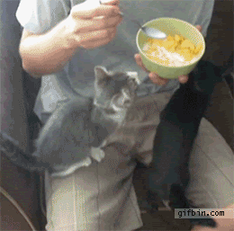 66.gif