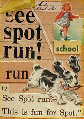 spot11.jpg