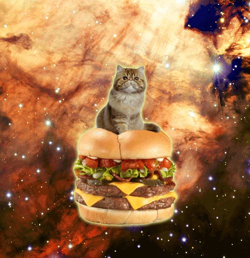 tumblr_mlbaqnvtT91r4xjo2o1_r1_500.gif
