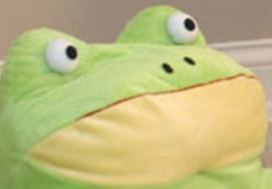 frolixo~frog.jpg