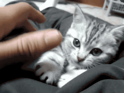 tumblr_mityl9JLWi1qbyxr0o1_400.gif