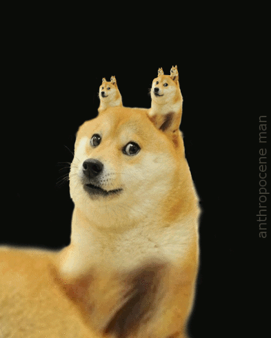 tumblr_mv84huyuN11s4bl2qo1_400.gif