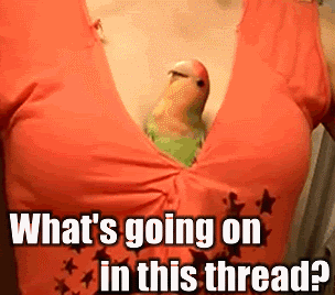 1355981340416.gif