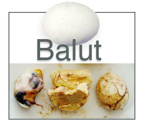 Balut.jpg