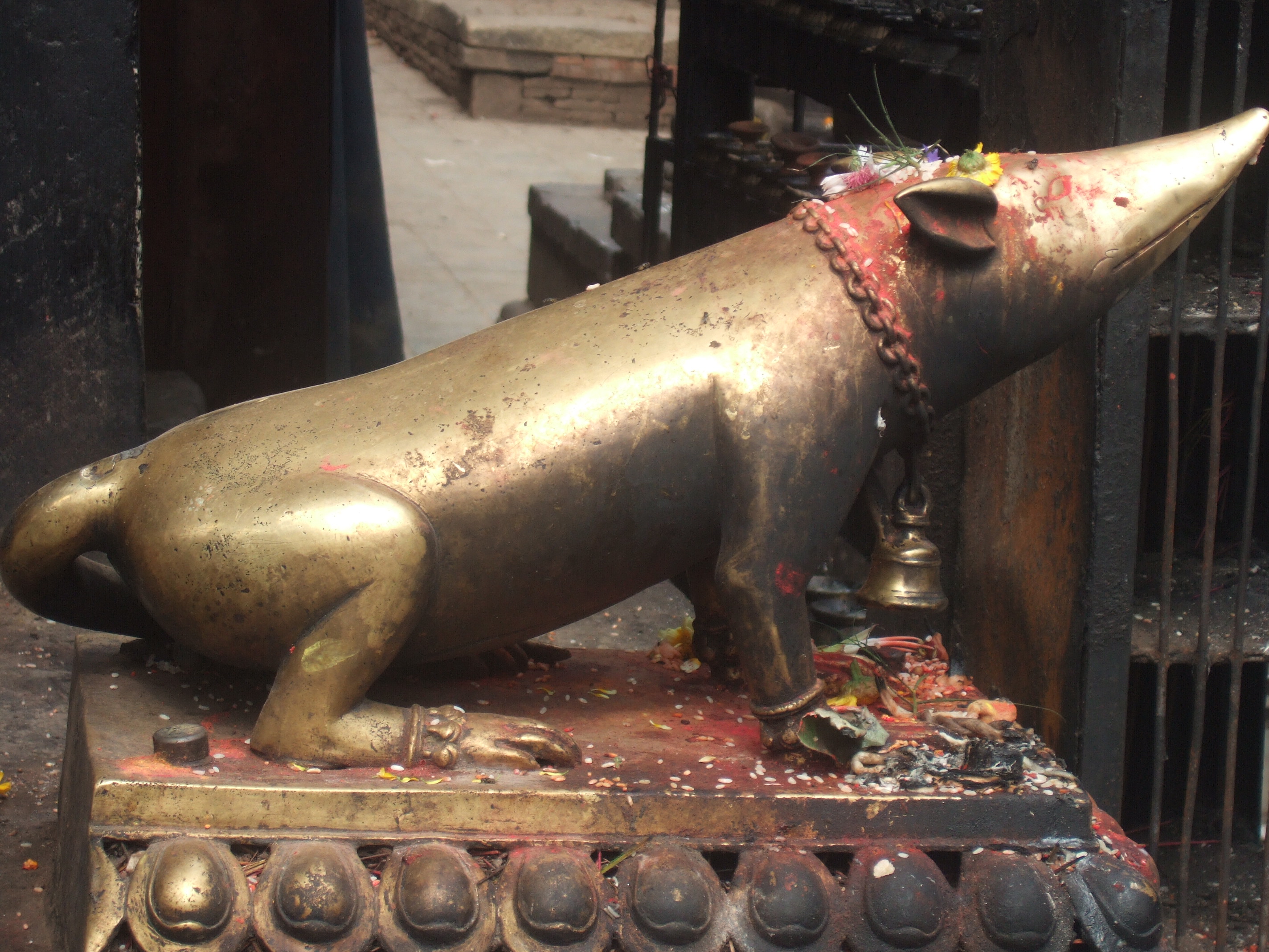 Nepal.rat.JPG