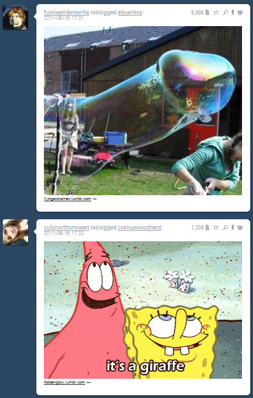 tumblr_lmwsb5eAkx1qfjsg1o1_400.png