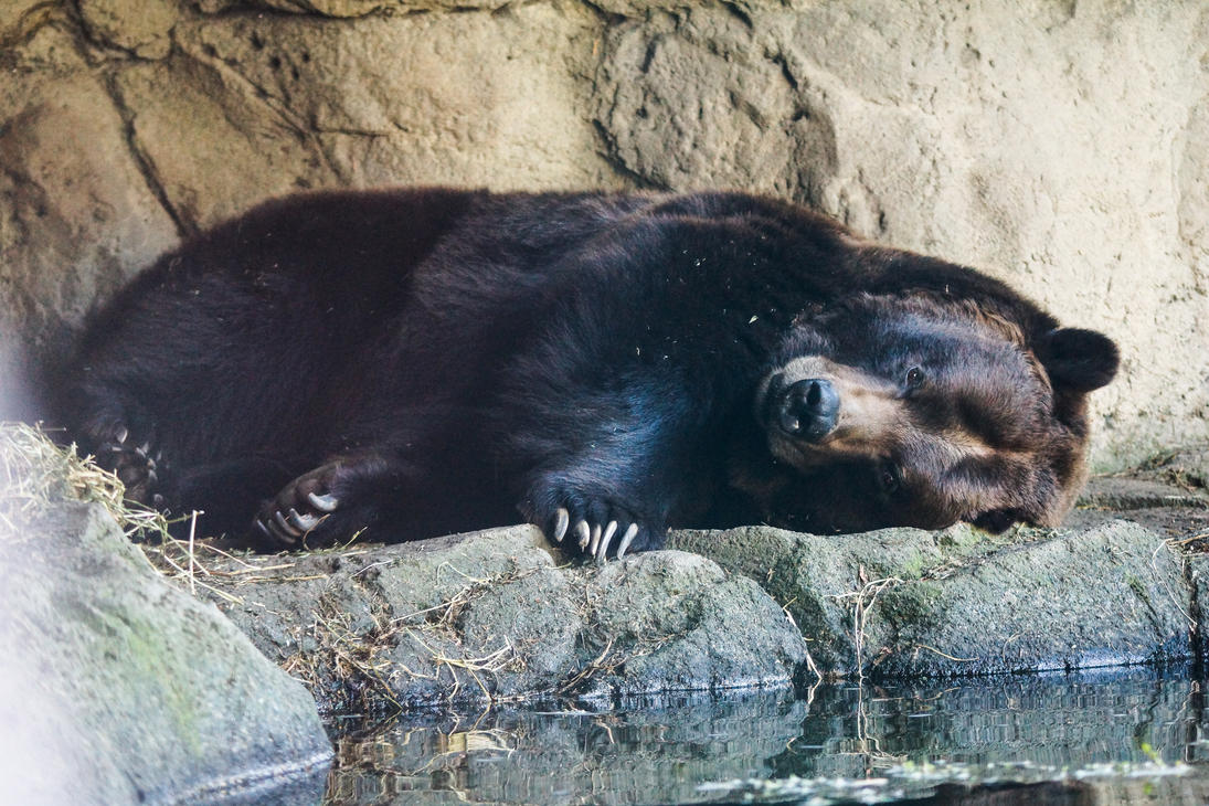 tired_by_o0neoblack0o-d5ye9d3.jpg
