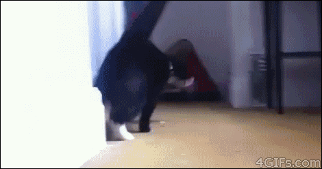 tumblr_inline_mgx0a5OLUP1re0jxj.gif