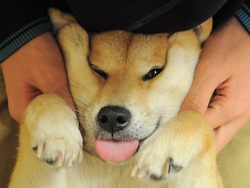 tumblr_inline_mwyj0yBl6i1snyrrf.jpg